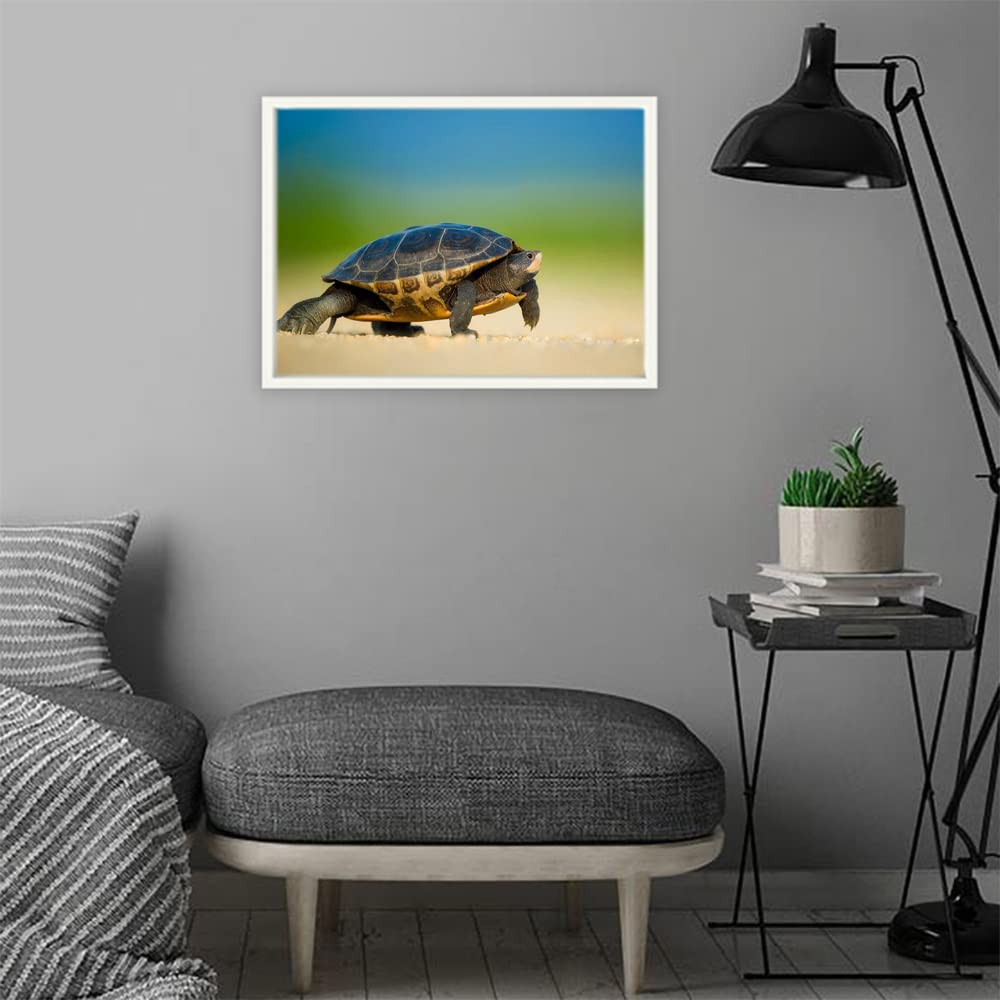 VERRE ART White Floater Framed Canvas - Wall Decor for Living Room, Bedroom, Office, Hotels, Drawing Room (22in X14in) - Tortles On Shore