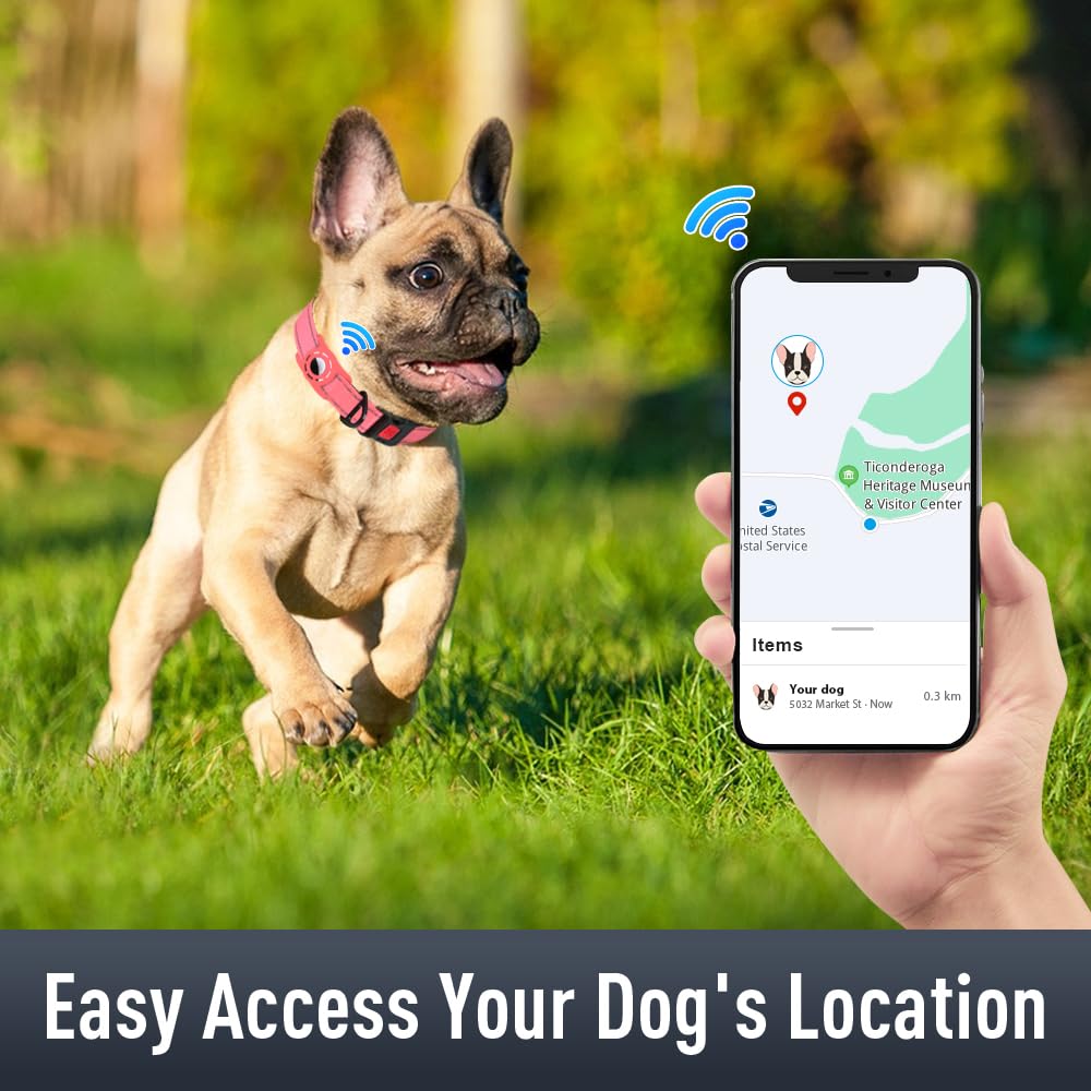 Airtag, Collare per cani per cuccioli, collari riflettenti per cani con supporto AirTag, morbida imbottitura e fibbia di bloccaggio di sicurezza, collare in nylon regolabile per tutte le razze,