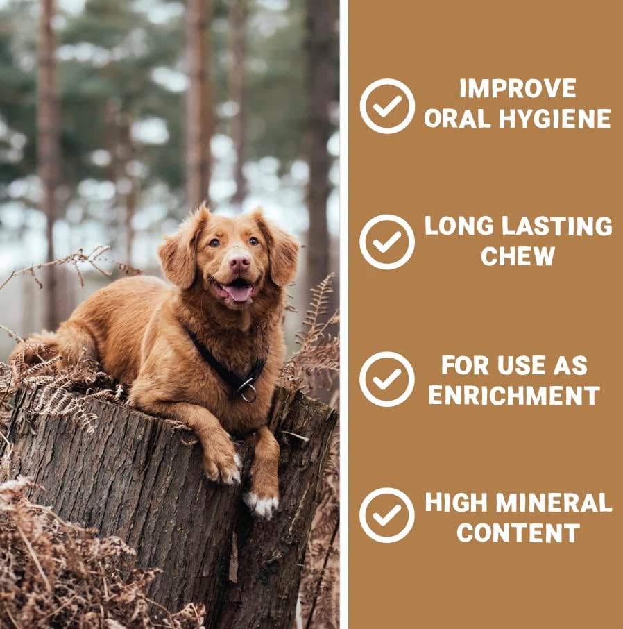 Pets Purest 100% Natural Antler for Dog Puppy or Senior, 1 x Large Deer Antler Stag Horn Bone with Minerals & Calcium - Image 3