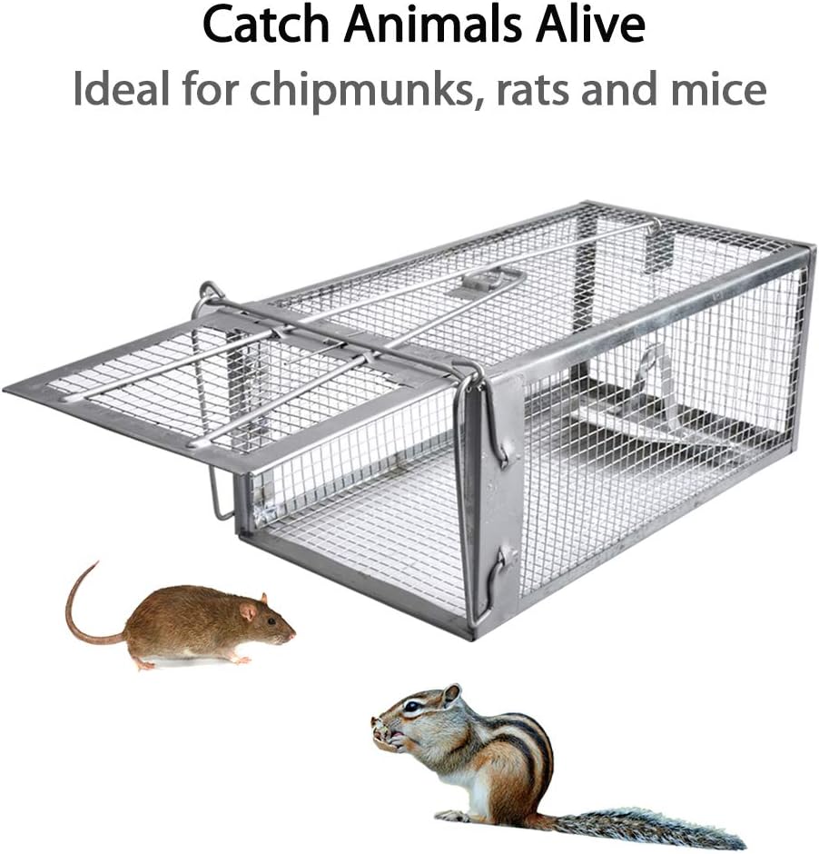 https://m.media-amazon.com/images/I/61fsiX5L4zL._AC_SL1000_.jpg