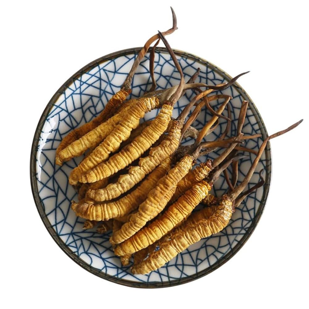 BUSOTH Cordyceps Sinensis Chinese Caterpillar Fungus(Dong Chong Xia Cao),Wild Cordyceps,100% Wild Himalayan Cordyceps Sinensis. (10 Gram)