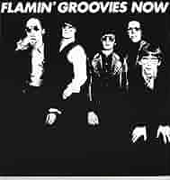 Flamin’ Groovies レコード　2枚組　1972年　オリジナル Flamin' Groovies レコード 2枚組 1972年 オリジナル Flamin