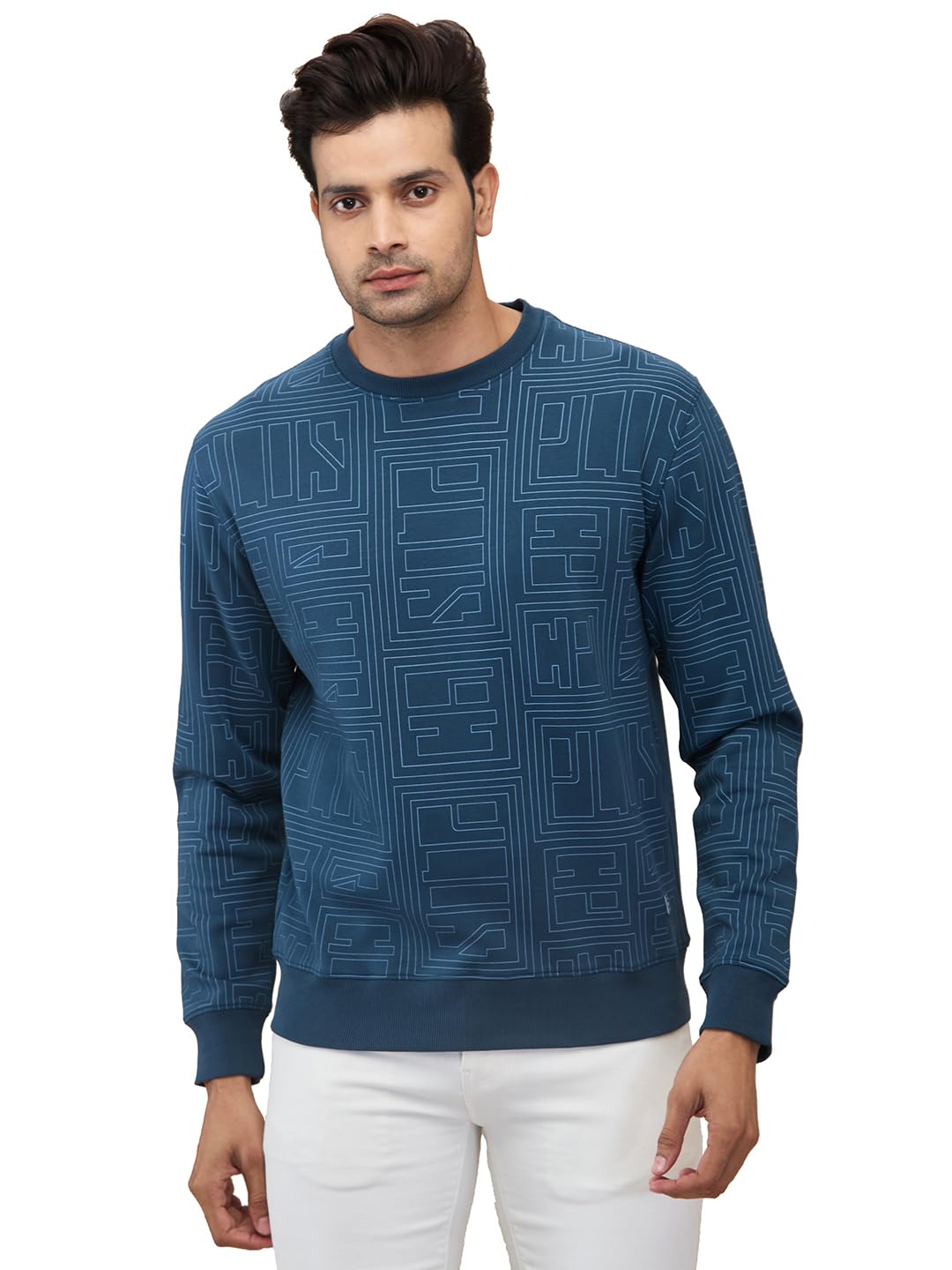 colorplus Men Full Sleeve Regular Fit Print Pattern Poly Cotton Spandex Blend Henley Neck Henley Neck Casual Sweatshirt-picture-17