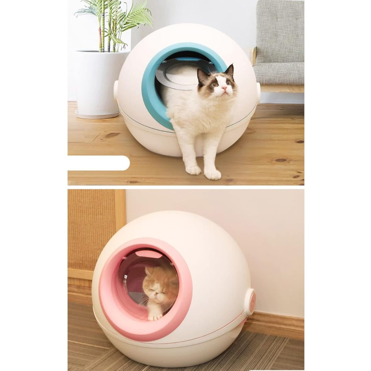 Amazon | Wyazziv猫 トイレ 最新猫用トイレモデル 全自動猫