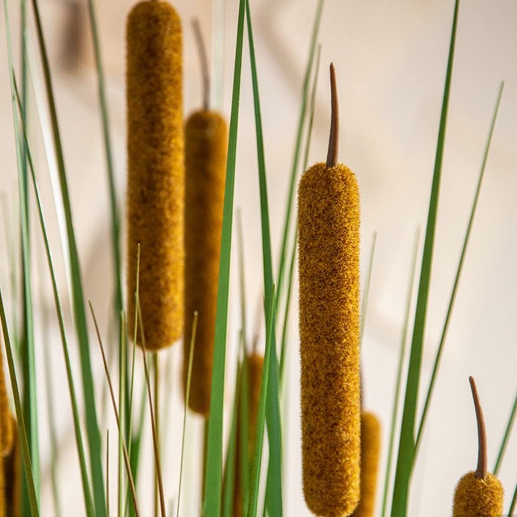 Verde Ornamenti Plants Plants Cattail, Piante Verdi Artificiali, Piante Fake in Vaso for L'Ufficio for Ufficio Agriturismo Senza Manutenzione (Color : 130cm/51.1in)