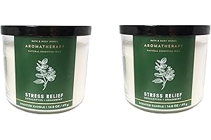 Eucalyptus Spearmint Bath and Body Works Stress Relief Candle (2 Pack)