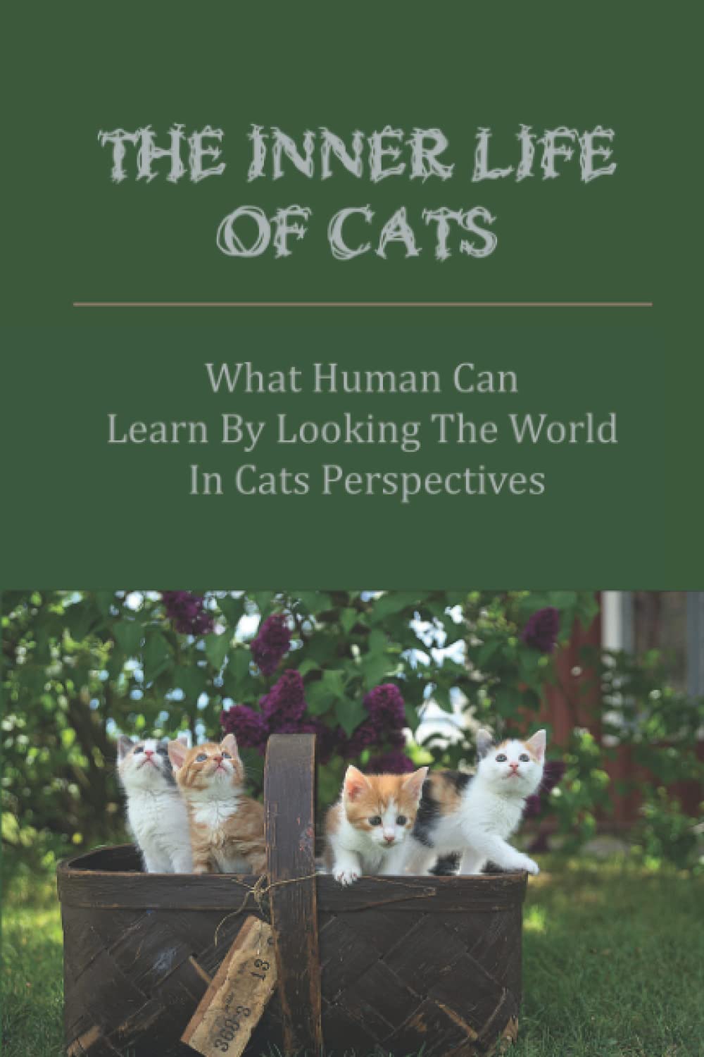 The Inner Life Of Cats: What Human Can Learn By Looking The World In Cats Perspectives