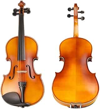 Amazon.co.jp: バイオリン ハードケース、松脂、弓を持つ子供の初心者