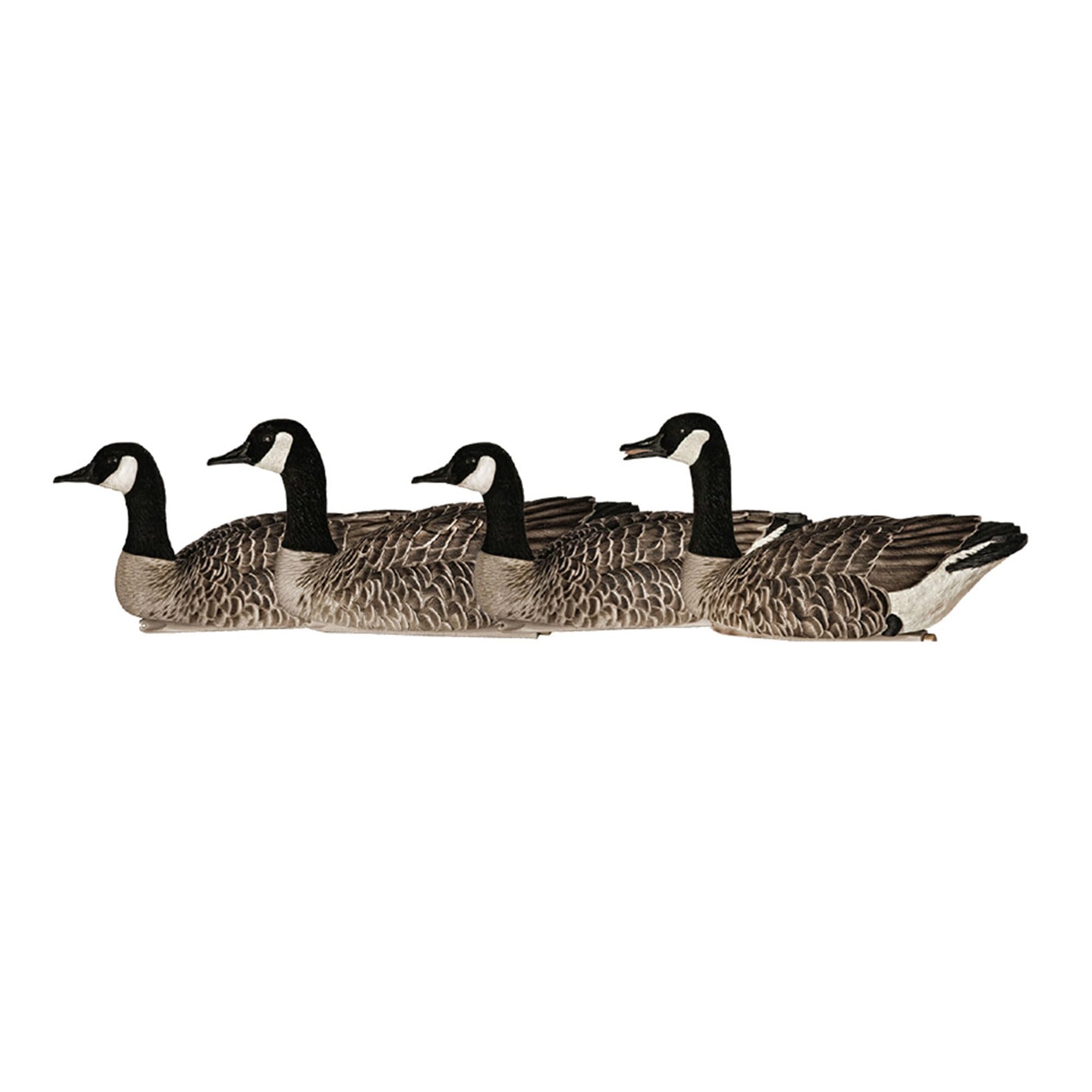 Topflight Honkers Durable Realistic Hunting Floating Canadian Goose Decoys, Pack of 4, AVX9040