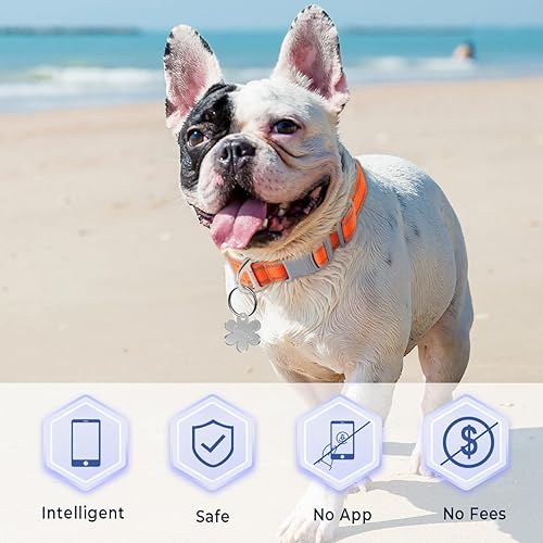 Miniatura 3 de Etiquetas para perros personalizadas para mascotas, etiquetas de nombre de perro con código QR, sin tarifas de suscripción, perfil en línea
