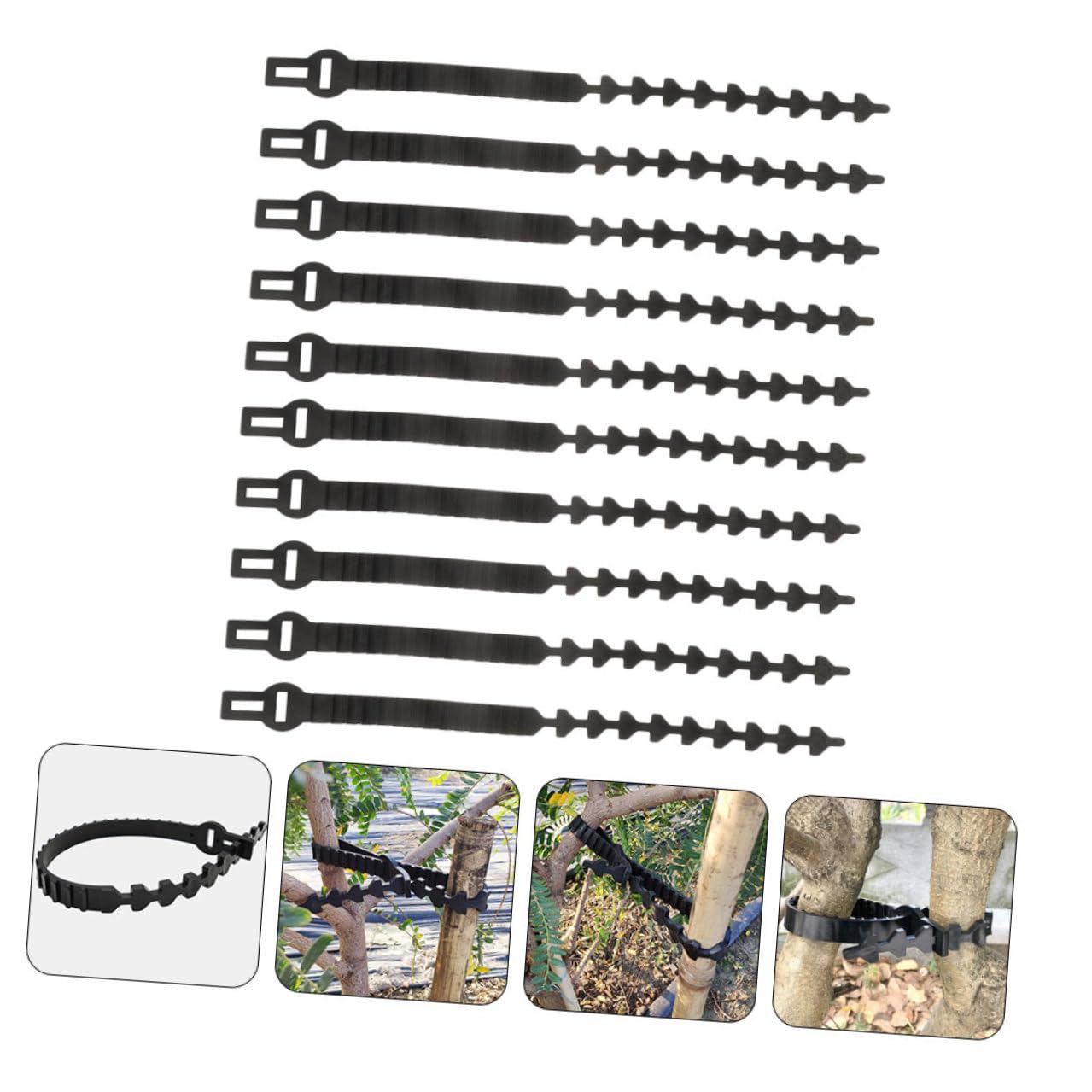 GALPADA Verstellbare Baumbefestigungsbänder Praktisch und Robust 10 Stück in Schwarz aus Flexiblem Gummi zum Binden von Bäumen und Bonsai im Garten