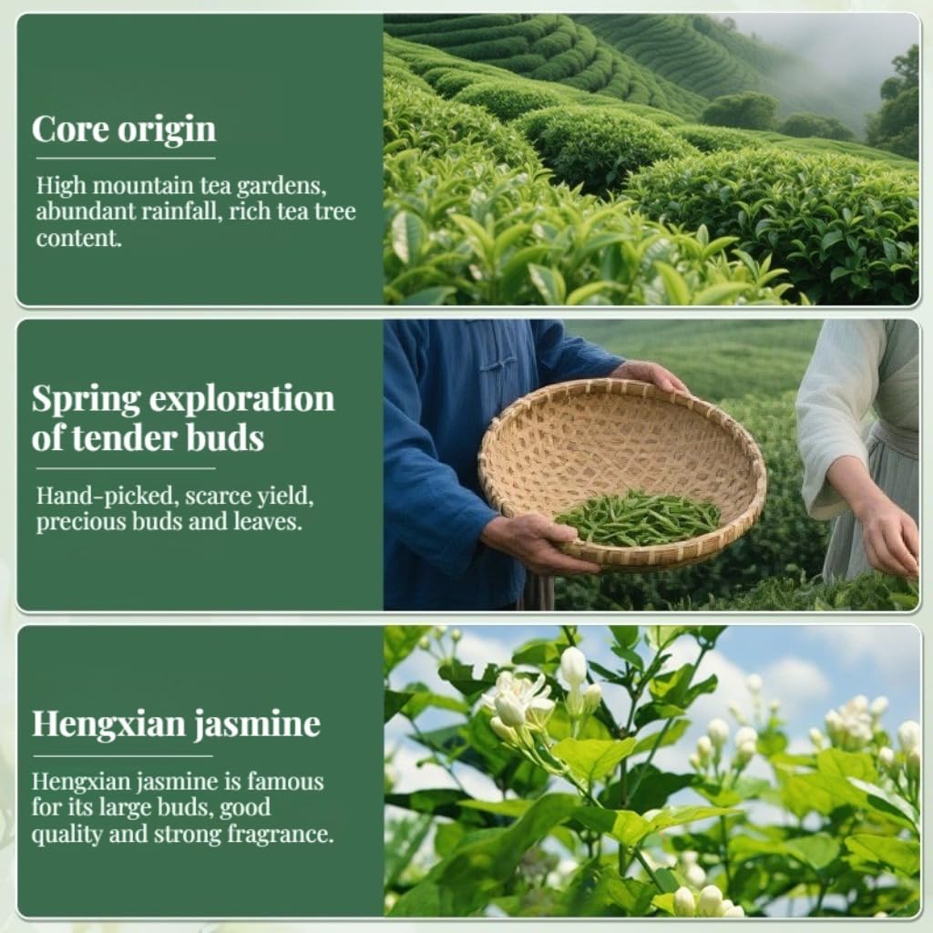 Tè Verde Jasmine Piaoxue 500g | Tè Verde in Foglie Sciolte Con Fiori Di Gelsomino 17,64oz | Ricco Aroma Floreale, Fragranza Piena | Ideale Per Il Consumo Quotidiano