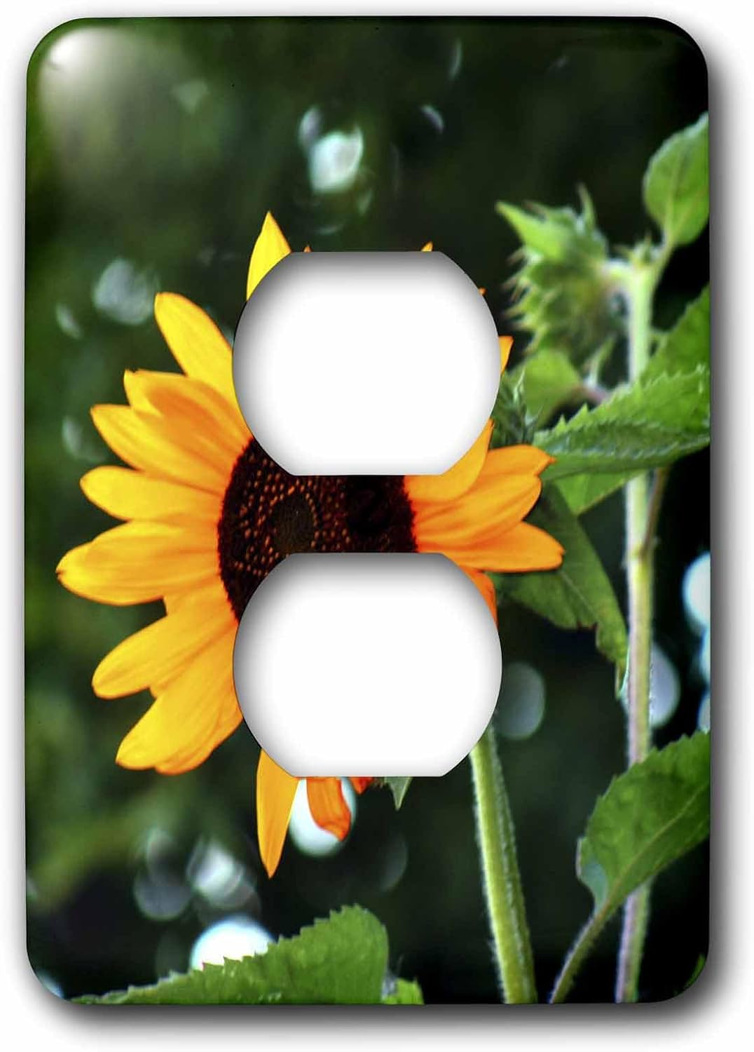3dRose Sunny Orange Sunflower 2 plug outlet cover