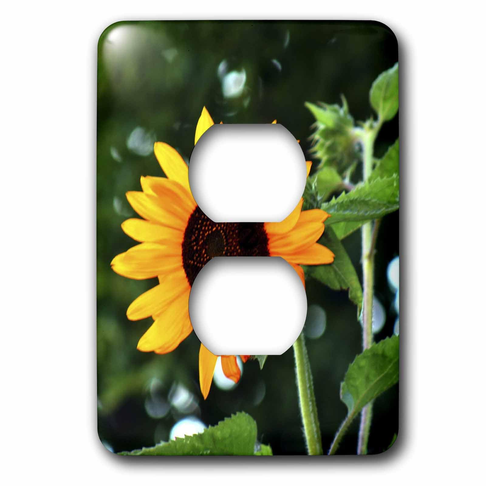 Cache-prise tournesol orange 3dRose LSP_48787_6 plaque murale décorative fleur