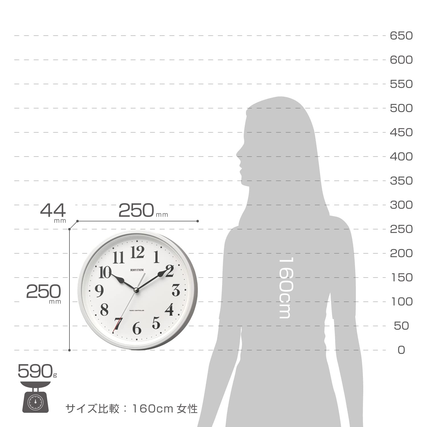 Amazon.co.jp: リズム(RHYTHM) 掛け時計 電波時計 一回り 小さい