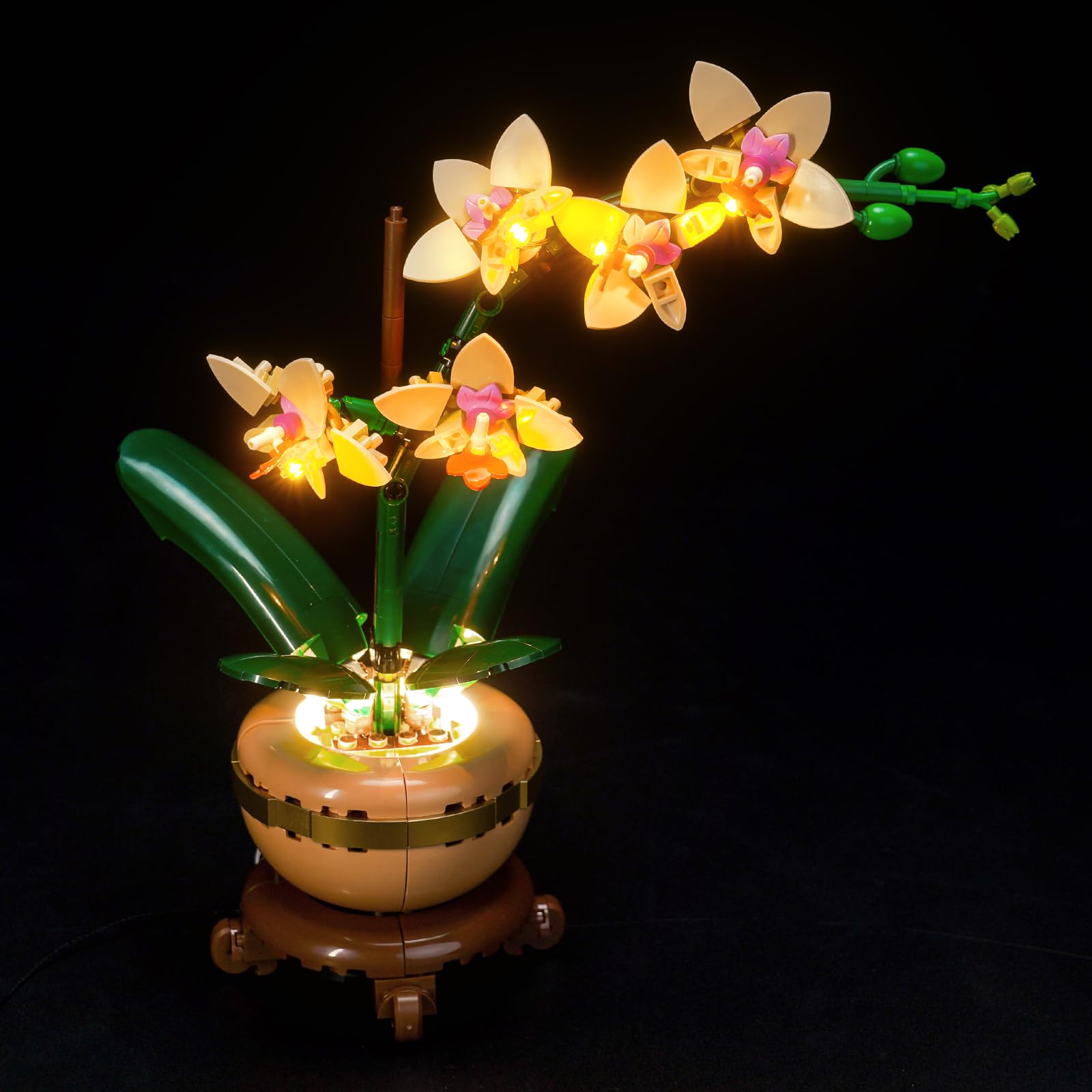 Rorliny LED Light Kit Compatible with Lego Mini Orchid Flower Décor 10343(No Lego Model Set), Lighting Set Compatible with Lego 10343 Botanical Collection - No Lego Model, Lights Only