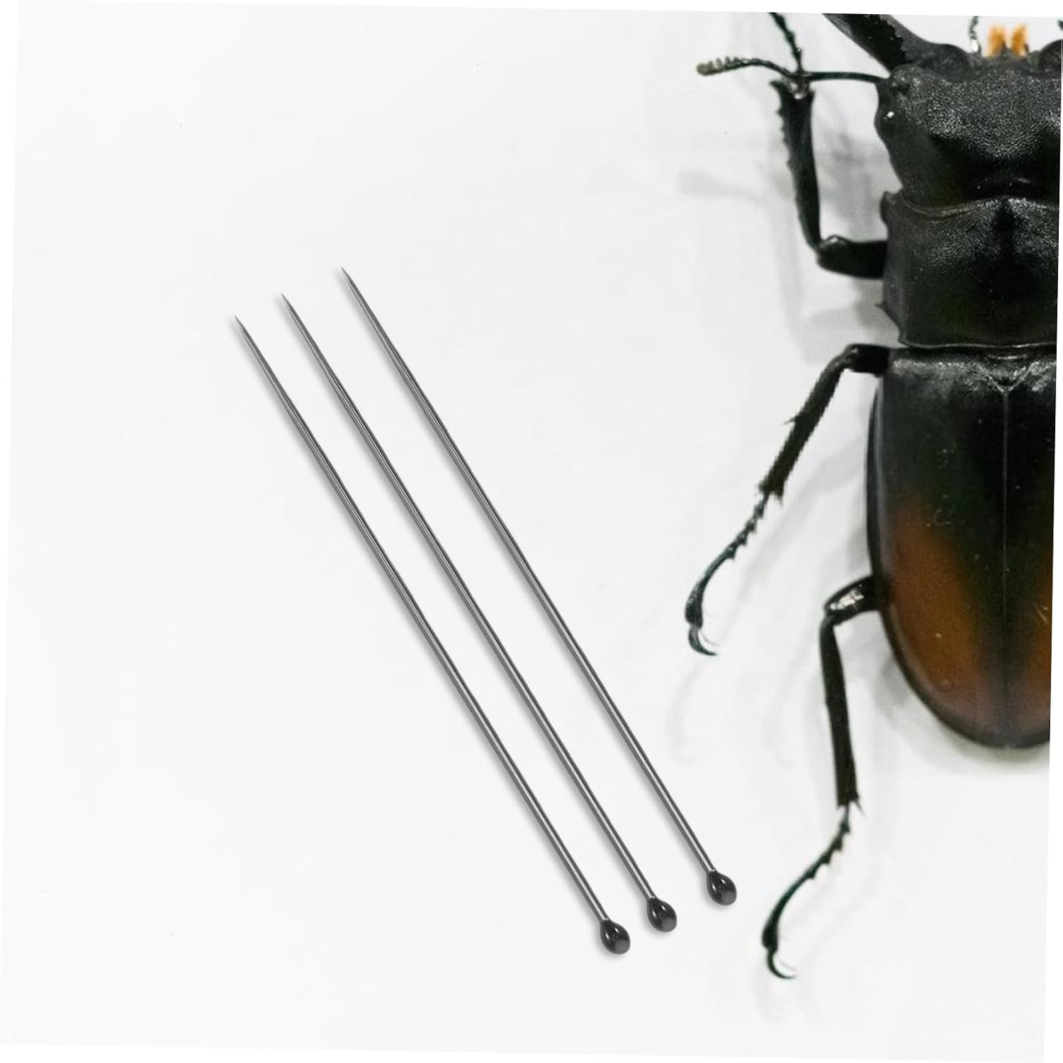 100pcs Stainless Steel Insect Specimen Fixing Kit Butterfly Mounting Needles for Entomology Easy to Use Specimen Preparation Tools for Accurate Insect Display