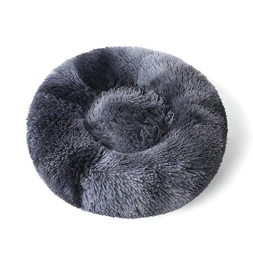 ybgxbh L  NbV ی^ h[icxbh ӂӂ ybg}bg 􂦂 ~ߕt g xbh  ۉ h Lzc _炩 ^ ^ ^ LQ 傫 Lxbh ~p ʋC ˂ lRxbh ΍ 킢