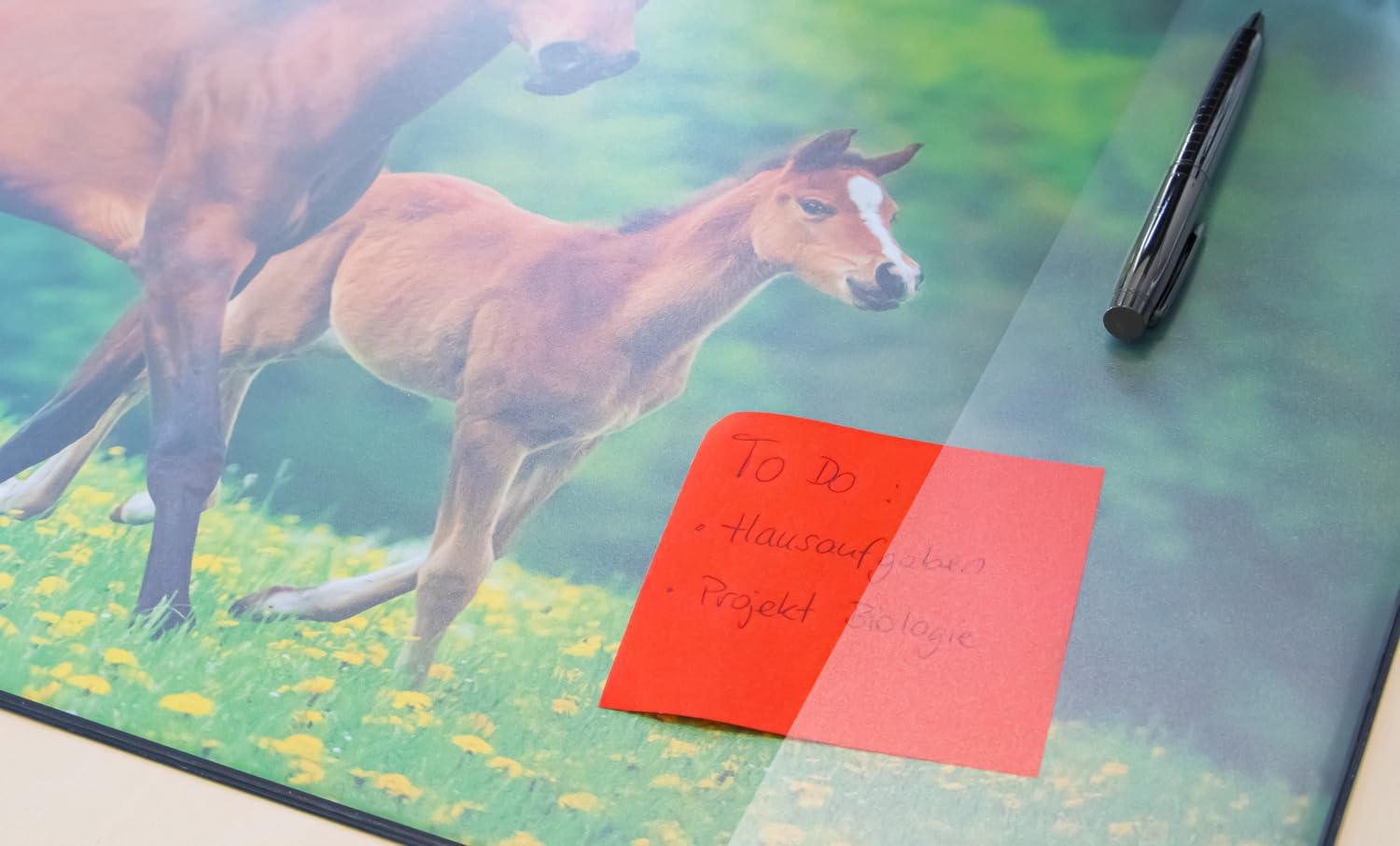 Idena 10454 Desk Mat with Two Pockets, Horse, Approx. 58.5 x 38.5 cm, Practical Accessory for Children, Teenagers and Study