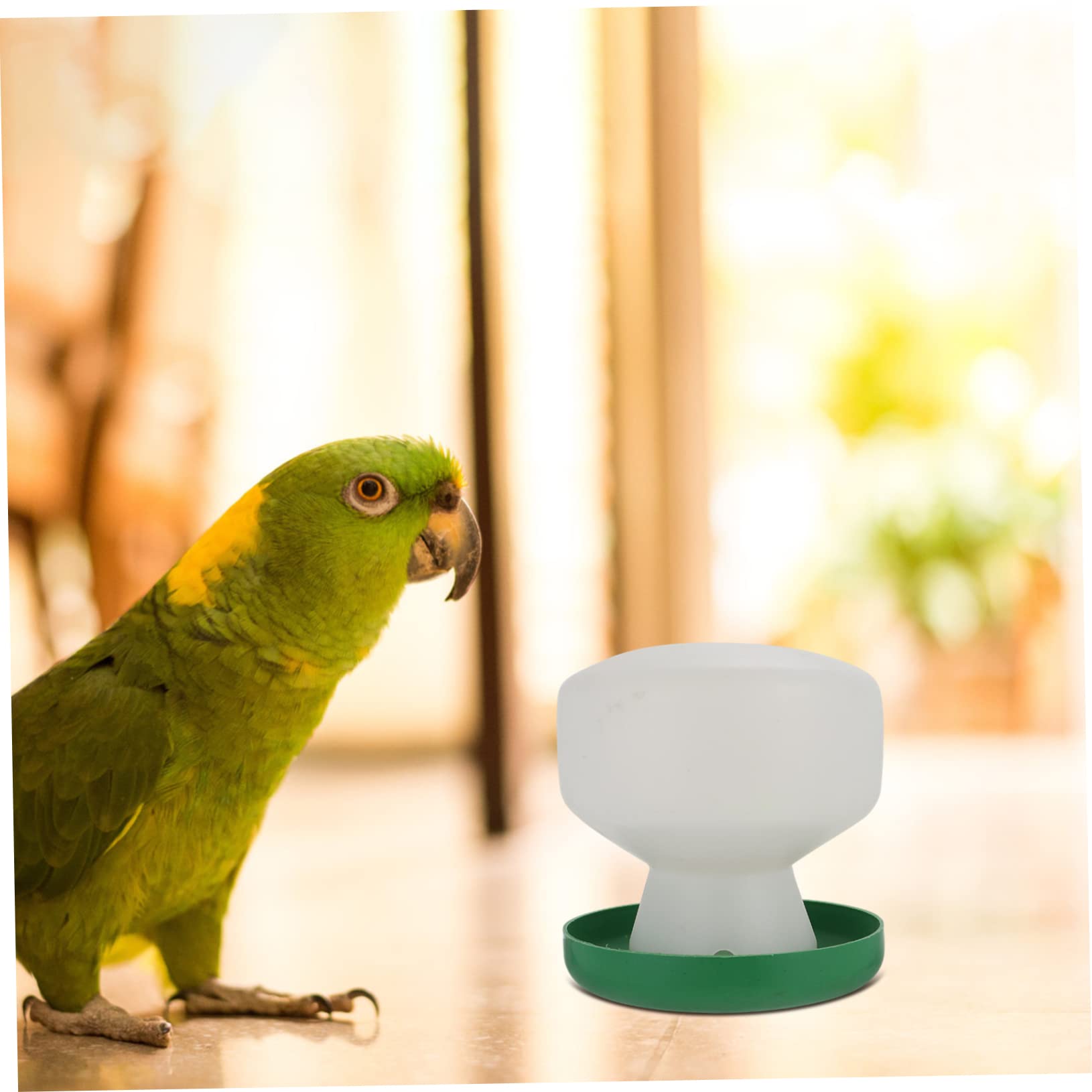 BESPORTBLE 6pezzi Dispenser Automatico Per Uccelli Bottiglia Per Pappagalli e Uccelli Domestici Alimentatore Pratico Plastica Resistente