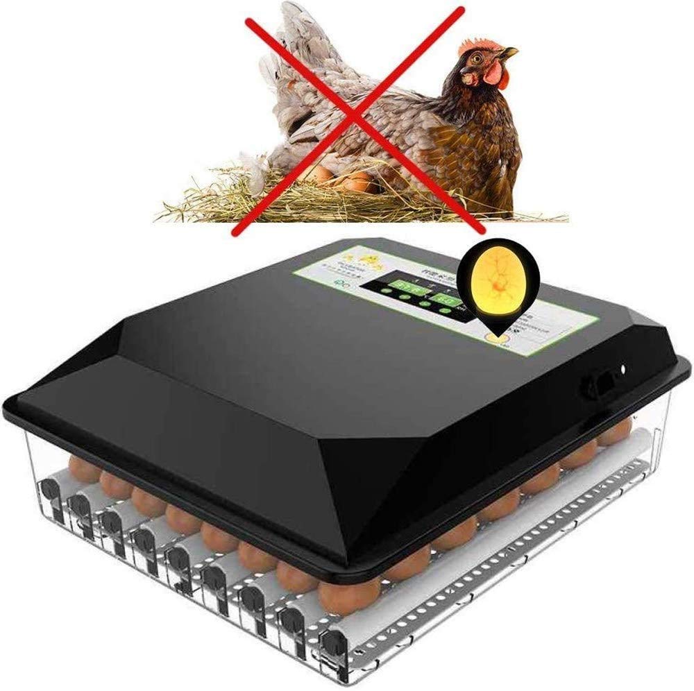 Buy Incubator Incubators For Hatching Eggs, Digital Automatic