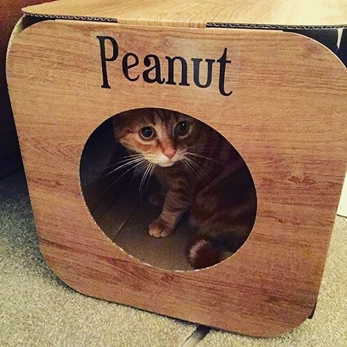 Wood Effect Cat Scratcher Tree Igloo Toy Box