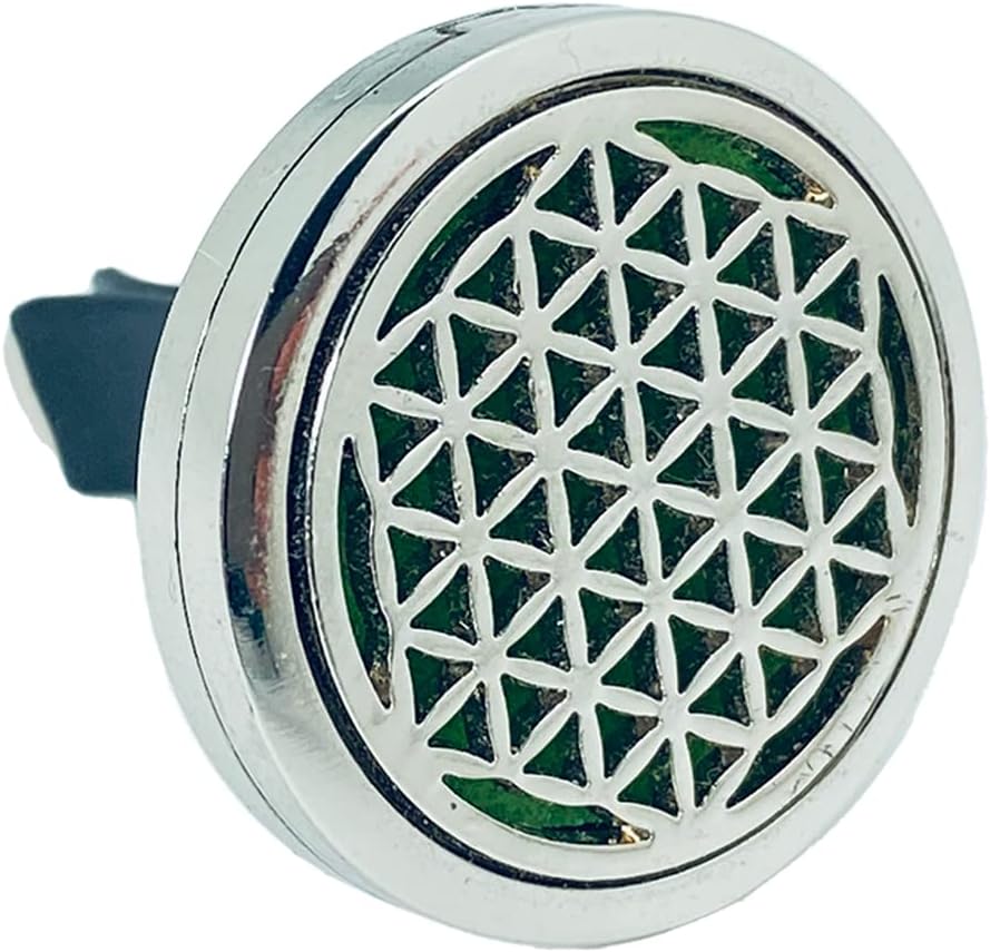 INNOBIZ 010840005 CAR Clip Diffuser, Plastic