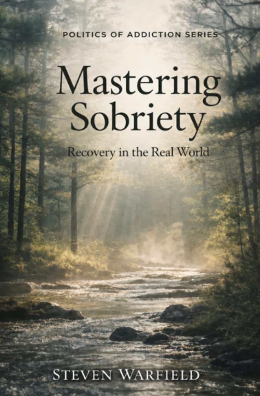Mastering Sobriety: Recovery in the Real World: 2 (Politics of Addiction)