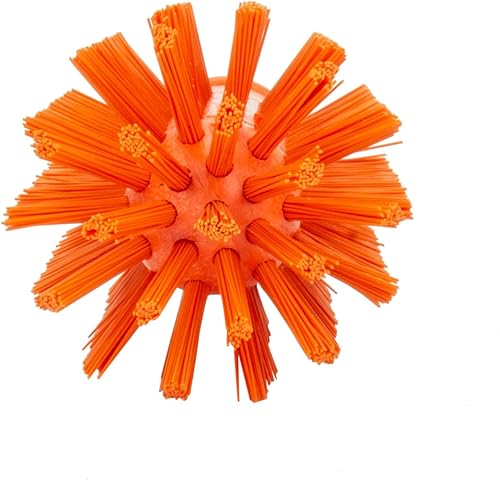 Miniatura 8 de SPARTA Cabezal de cepillo de tanque industrial, cepillo de drenaje con orificio de rosca de 34 pulgadas (mango no incluido) para uso comercial,