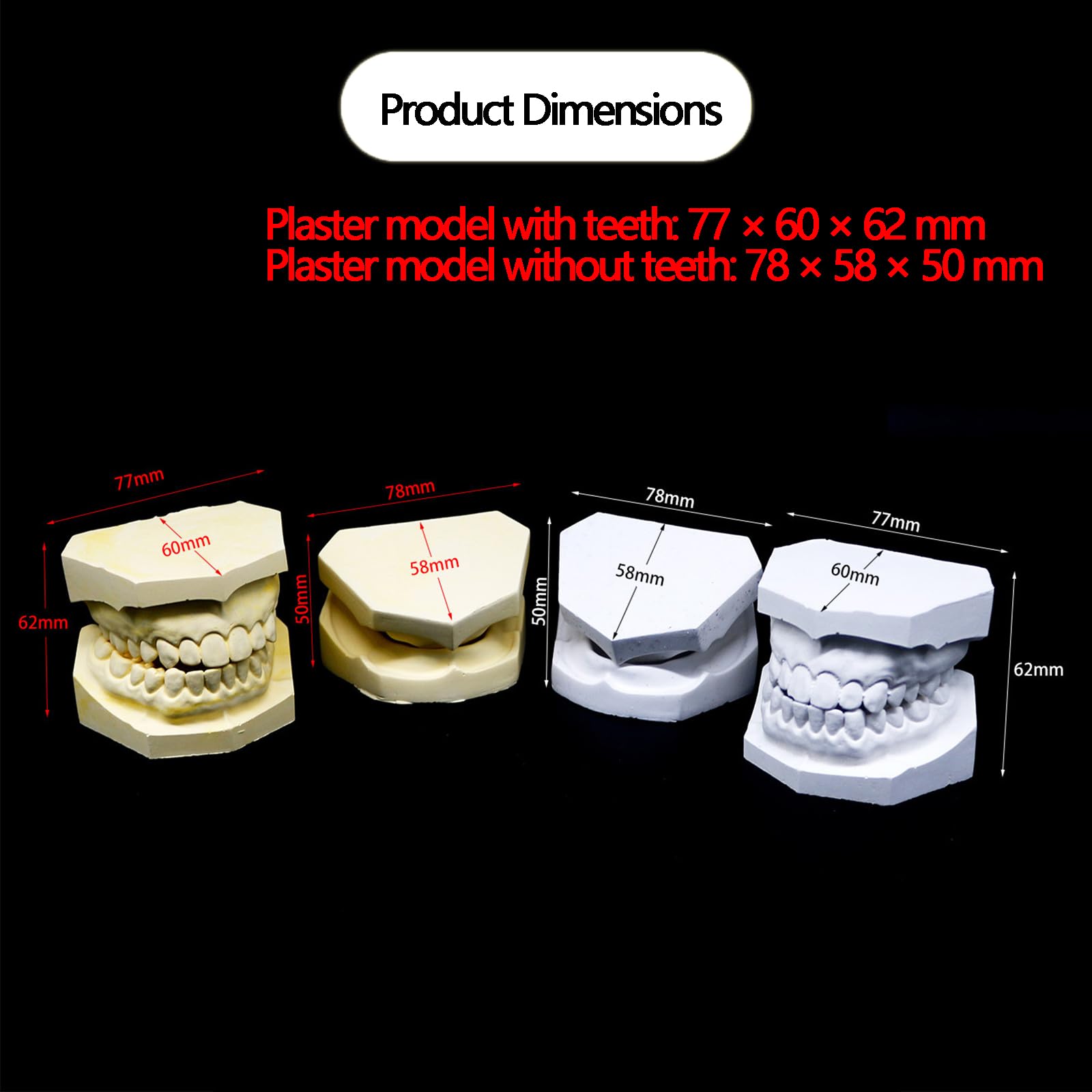 4 szt. Gipsowy model dentystyczny standardowe modele tynków z zębami i bez zębów model dentystyczny do nauki nauczania