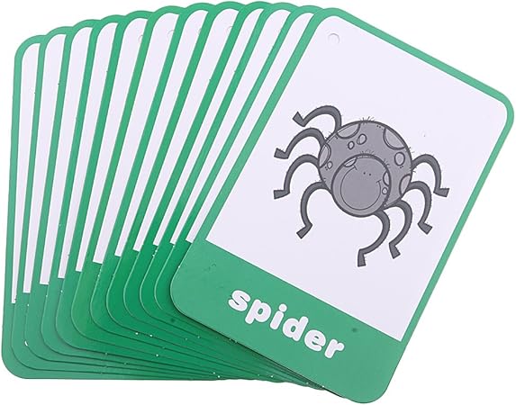 Amazon 子供 赤ちゃん フラッシュカード 知育教育 ピクチャー 英語ワード 学習カード 全12種類 昆虫 すうじ 図形 計算 おもちゃ