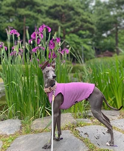 Goldpaw Sun Shield Tee for Dogs and Cats - UV Protection UPF50+ Cooling - Great for Anxiety, Allergies, Wound Care, Hairless Pets - Machine Wash, Quick Dry (Violet, 14) - Thumbnail 3