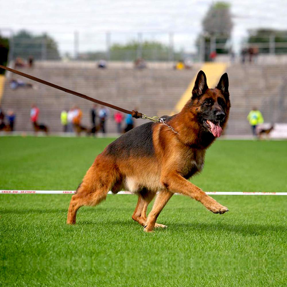 SOCHII Correa de cuero para perro para entrenamiento de mascotas, correa para correr para perros medianos y grandes, pastor alemán K9, 1,5 m/2,5 m de largo, marrón, 1,5 m