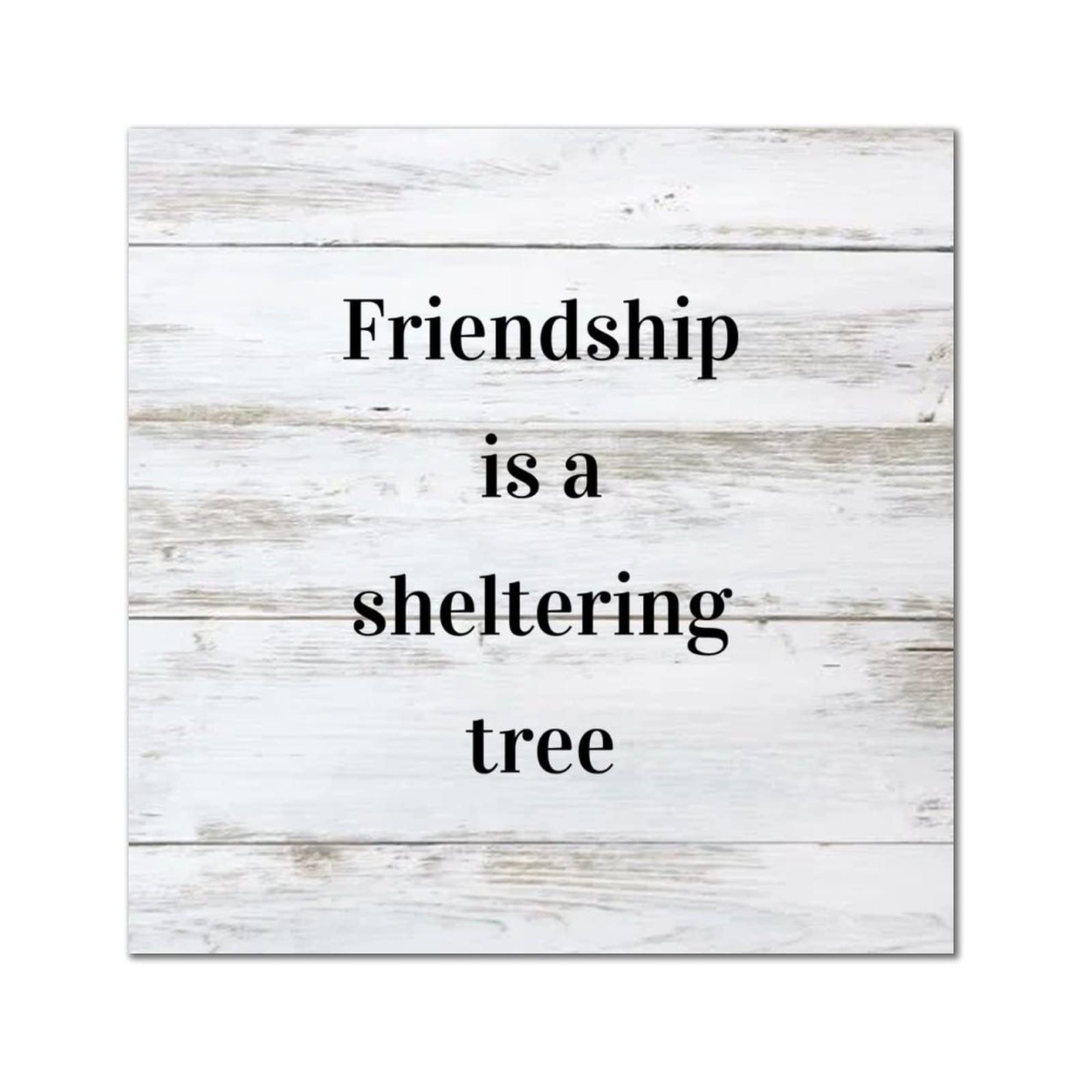 Plaque murale en bois Friendship d'ambiance cosy pour porche et bar 35cm