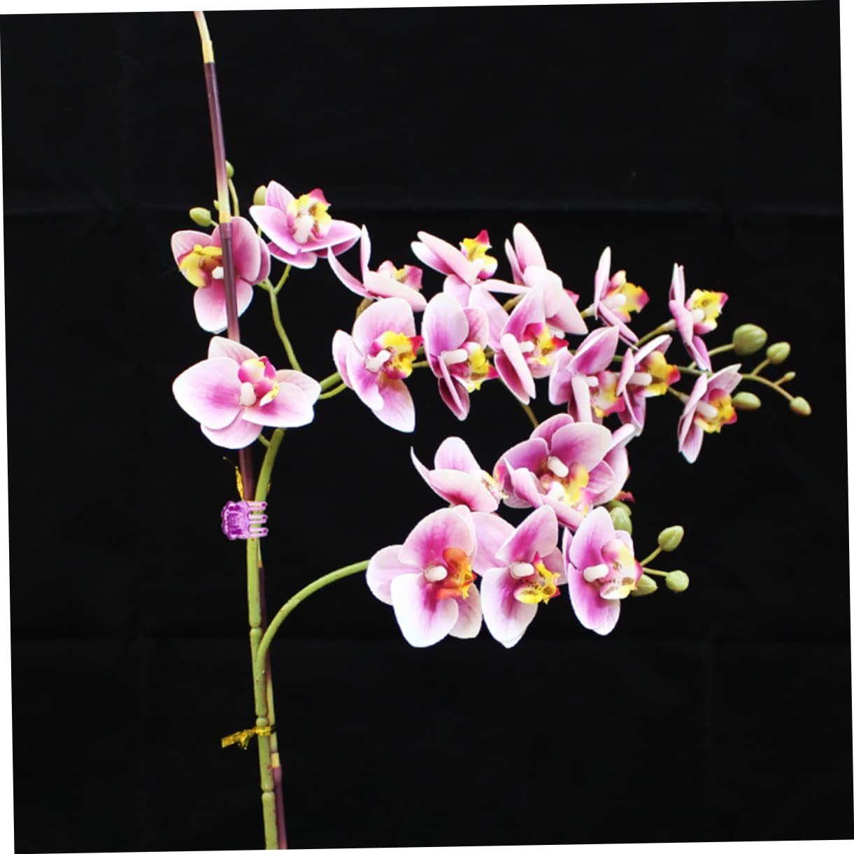 SOIMISS 10 Ensembles Agrafe D'orchidée Clip De Support pour Plantes Grimpantes Clips De Support pour Plantes Clips D'orchidées Clips De Tige De Vigne Fleur Vignes Plastique 120 Pièces * 10