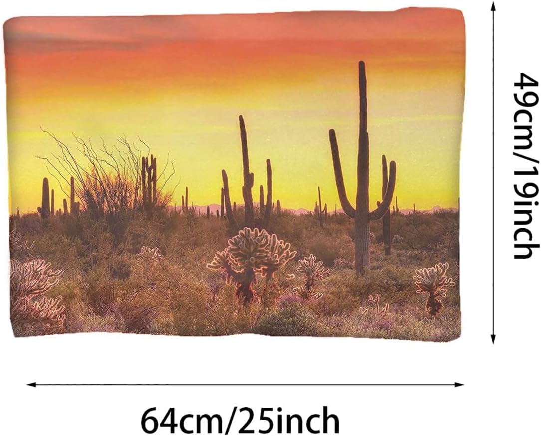 review Red Yellow Thermal Pet Mat Bed Liner Land with Cactus and Odd Weeds Earth Photo Machine Washable Pad Pet Sleeping Mat for Dogs Cats Saguaro 19