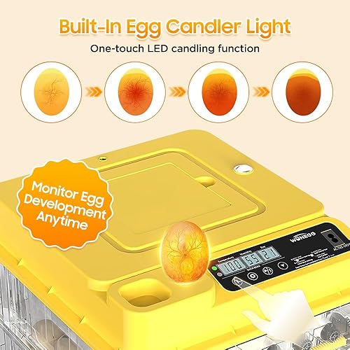 Miniatura 6 de Incubadora de huevos - Incubadora de huevos 2026 con giro automático de huevos y control de humedad, criador grande de aves de corral para pollos
