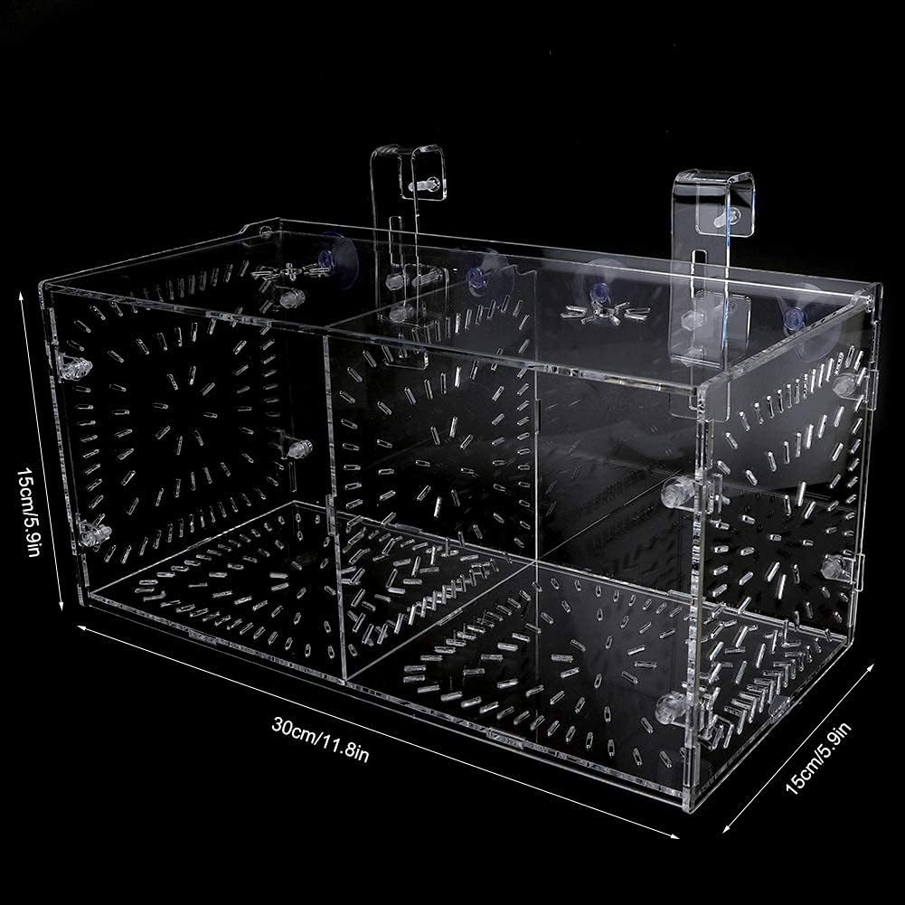 Fish Breeding Box Acrylic Fish Isolation Box Fish Seedlings Incubator Aquarium Fish Breeder Box with Isolation Board for Baby Fishes Shrimp Clownfish and Guppy(30CM*15CM*15CM)
