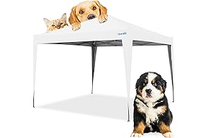 Quictent Portable 10x10 Pop-up Tent for Outdoor Events