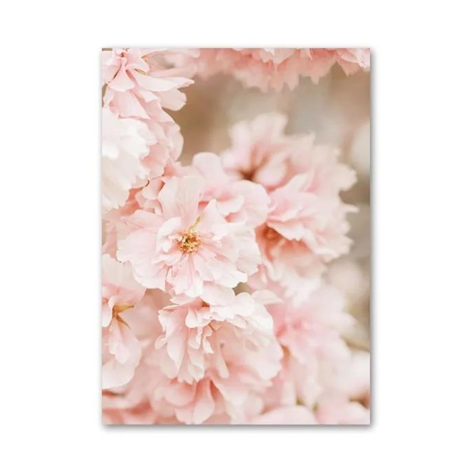 Lienzo pósteres coloridos de galería XENITE para decorar un salón vintage con flores