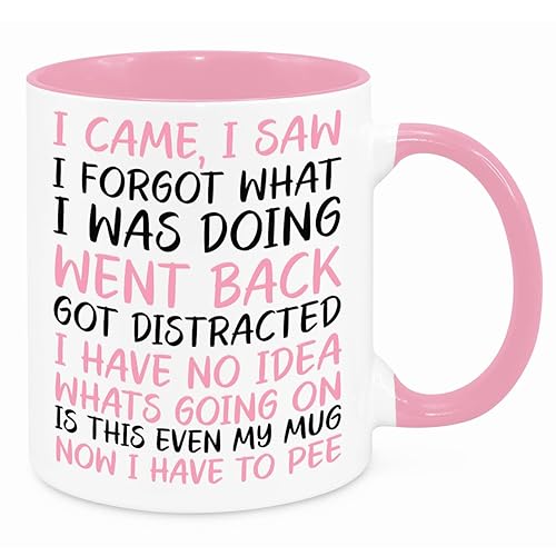 I Came I Saw I Forgot Mug - Funny Novelty Gift Silly Present Mugs