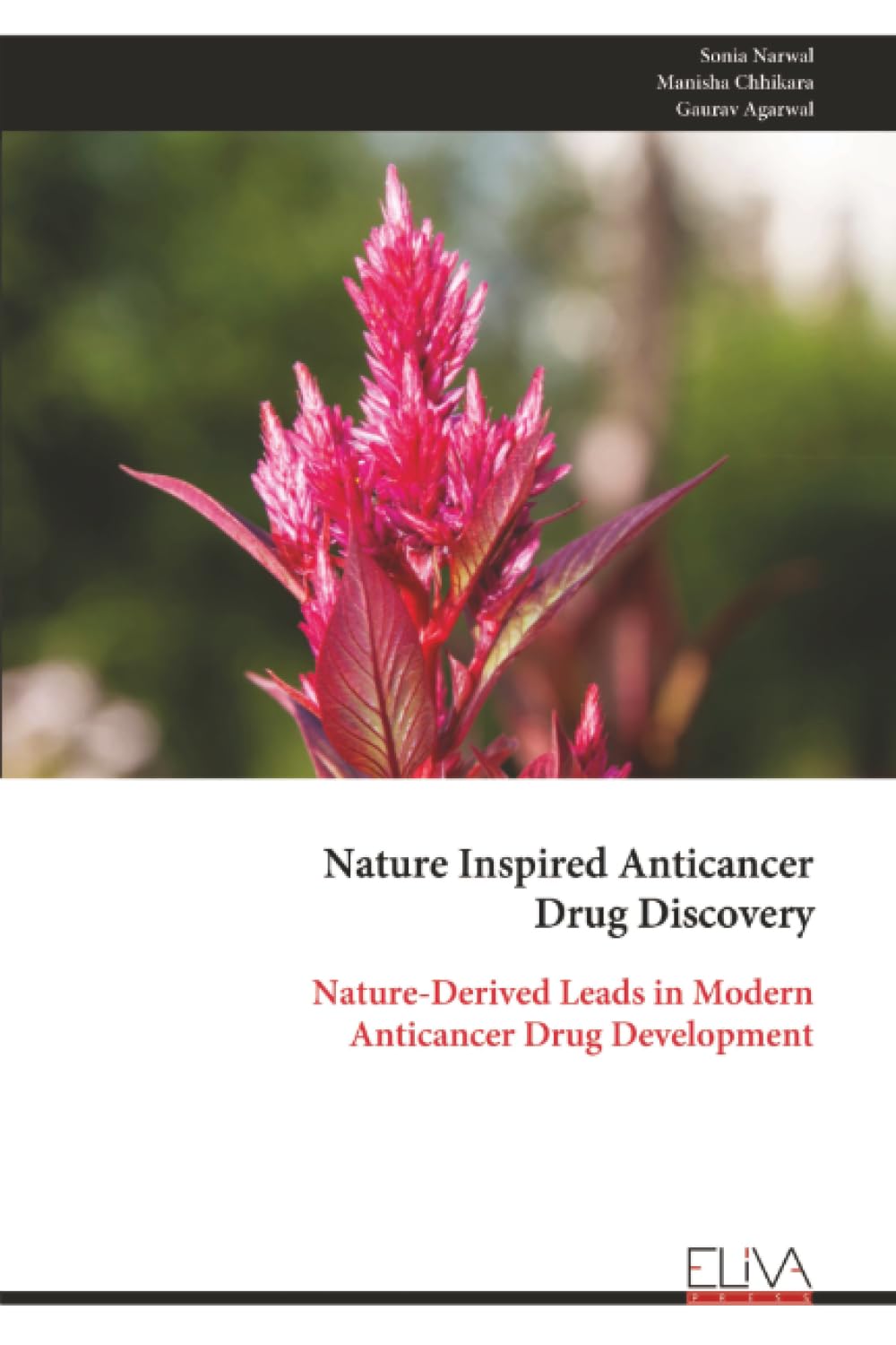 Nature Inspired Anticancer Drug Discovery: Nature-Derived Leads in Modern Anticancer Drug Development