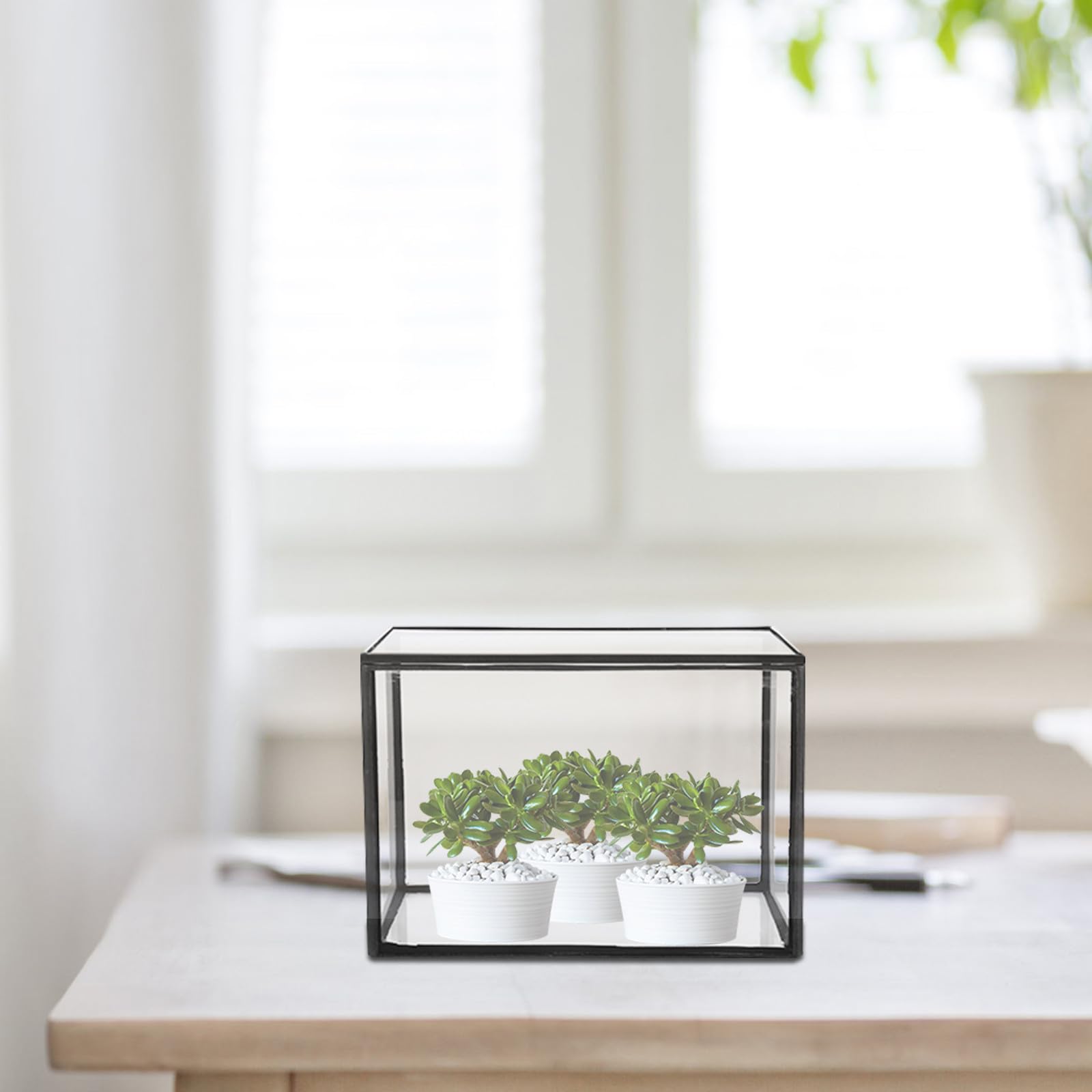 Terrario de Plantas Suculentas de Vidrio Transparente para Decoración, Recipiente Pequeño y Creativo para Jardín o Regalo, Estilo Natural y Artístico