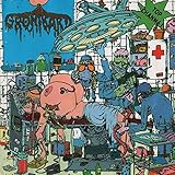 fondue savoyarde  Mort Fondu Savoyarde [Explicit]