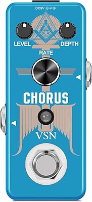 VNS Chorus VNS Chorus Image
