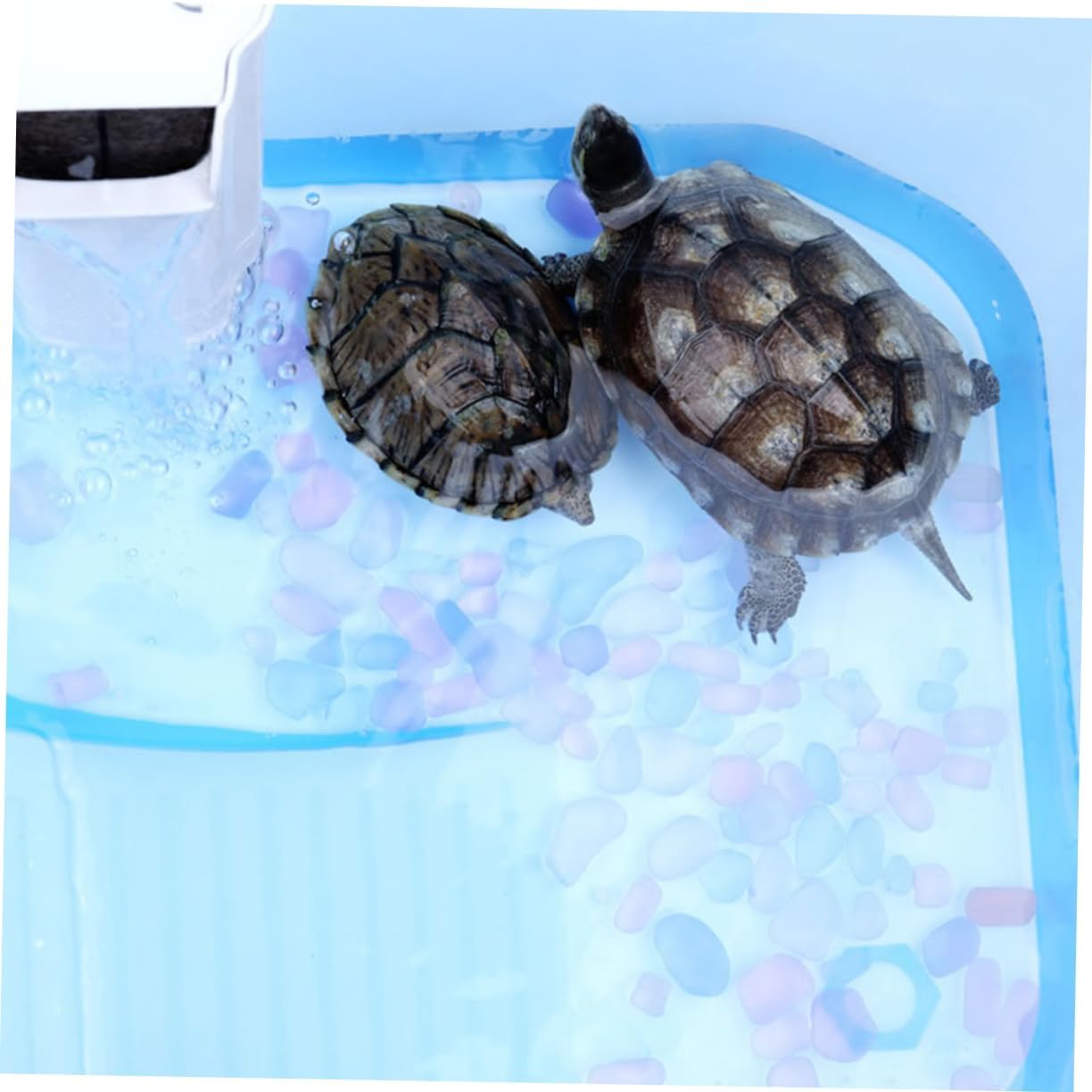 Large Turtle Tank with Basking Platform Plastic Reptile Habitat Aquarium for Turtle Feeding and Breeding