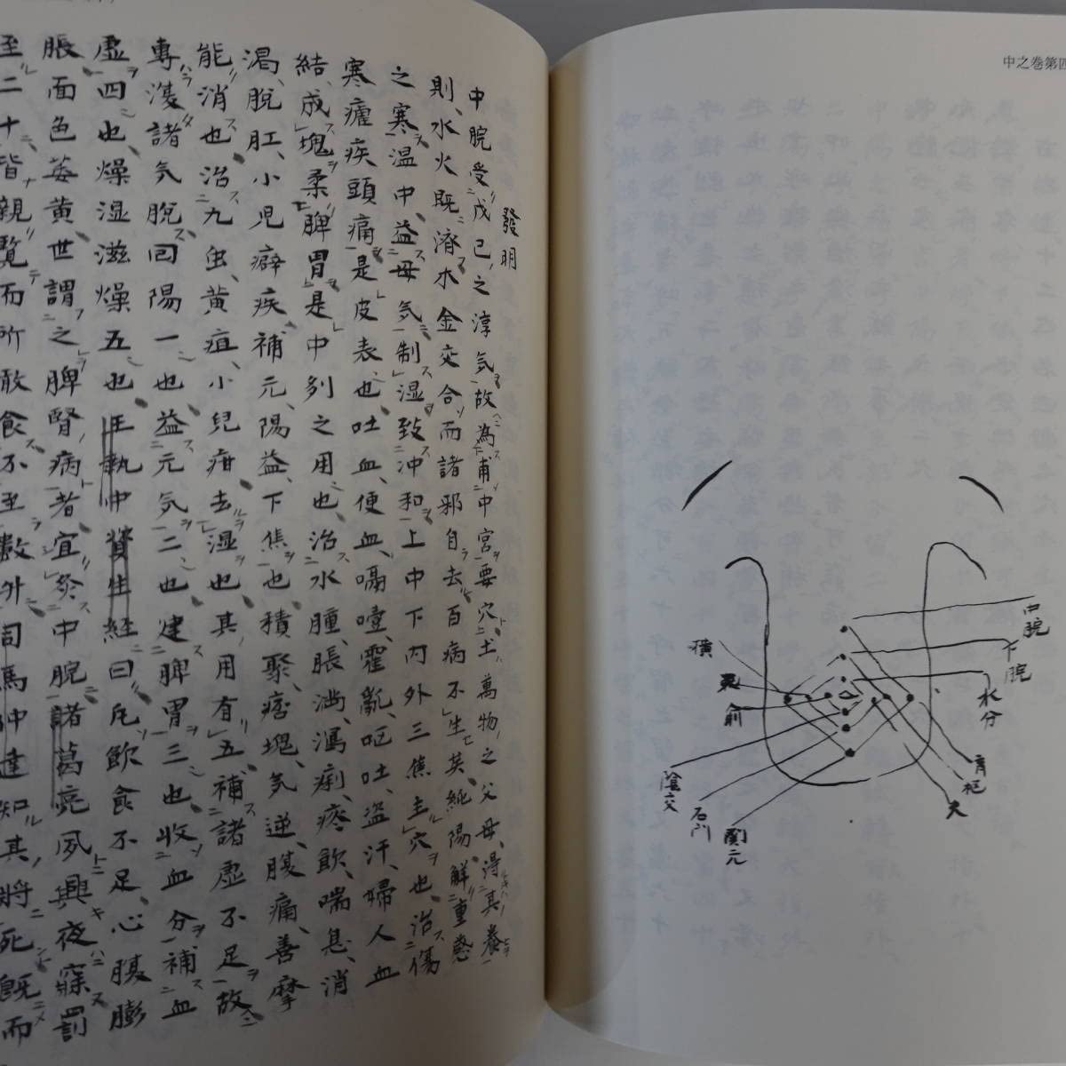 Amazon.co.jp: 3067秘傳 杉山眞傳流 平成16年 財団法人杉山検校遺徳  