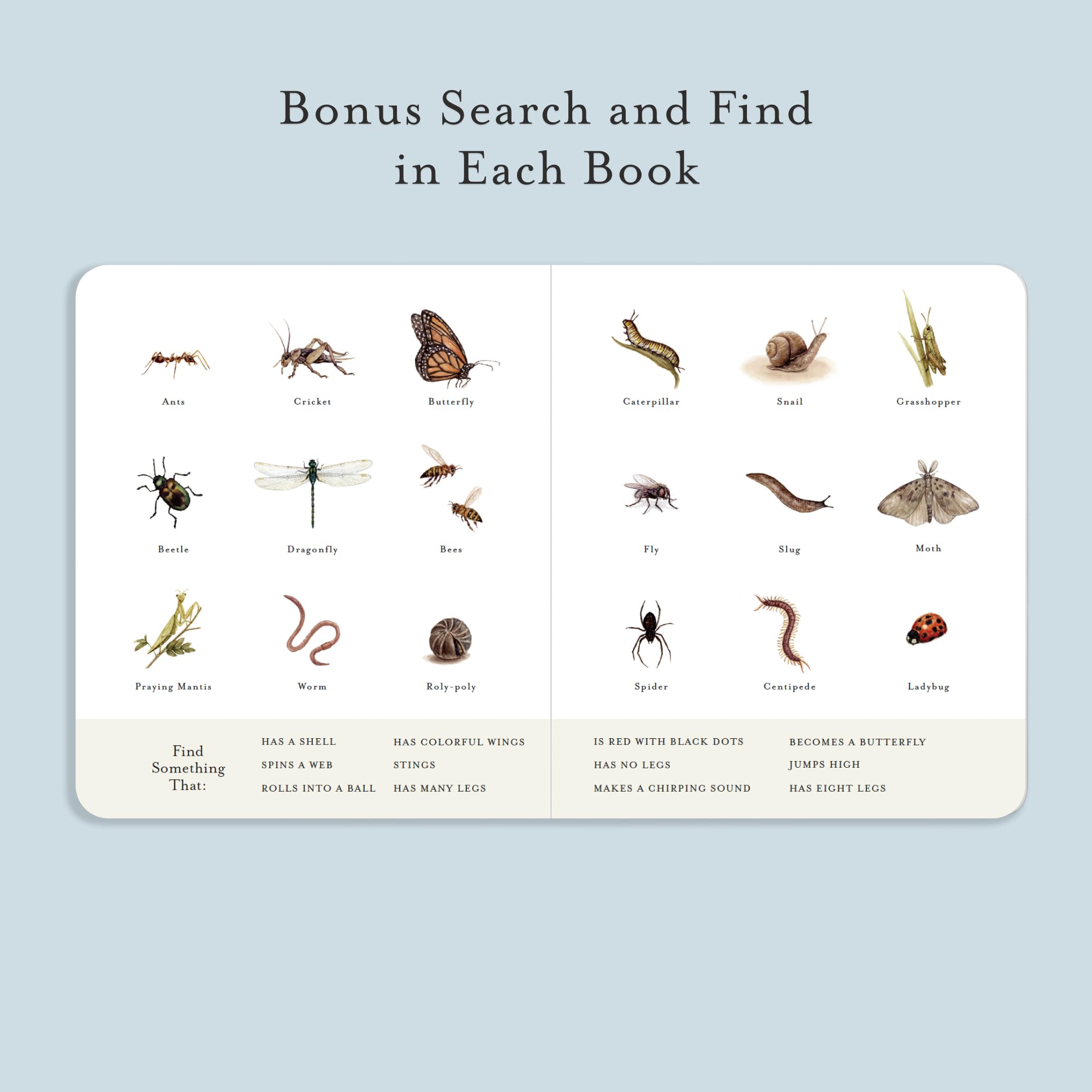 Our Little Library Vol. 3: A Foundational Language Vocabulary Board Book Set for Babies, Including Bugs, Dino saurs, Sports, Space, and Trucks: 11 (Tabitha Paige Children's Book Series)