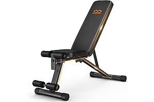 Lusper Foldable Adjustable Weight Bench - The Ideal Solution for Your Home Gym