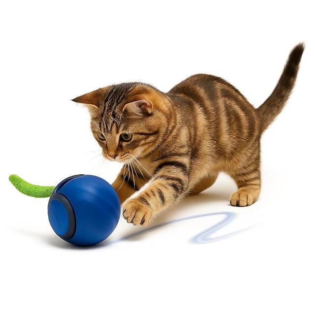 Foto 6 de 6 de D&M Place Pelota Interactiva para Gatos Recargable USB-C, Juguete Interactivo Automático con Modo Inteligente